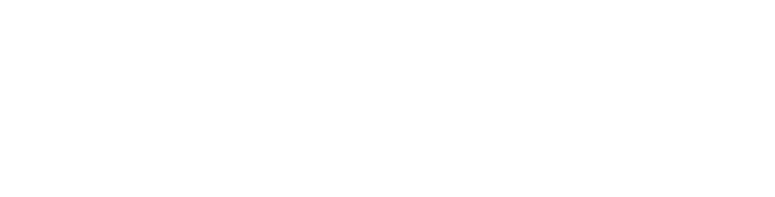 Wordpress tech cms base