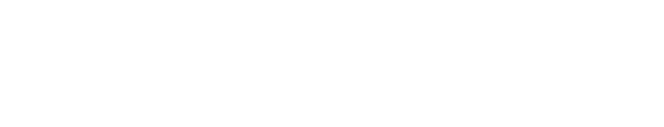 AudioEye - ADA and SEO tech partner