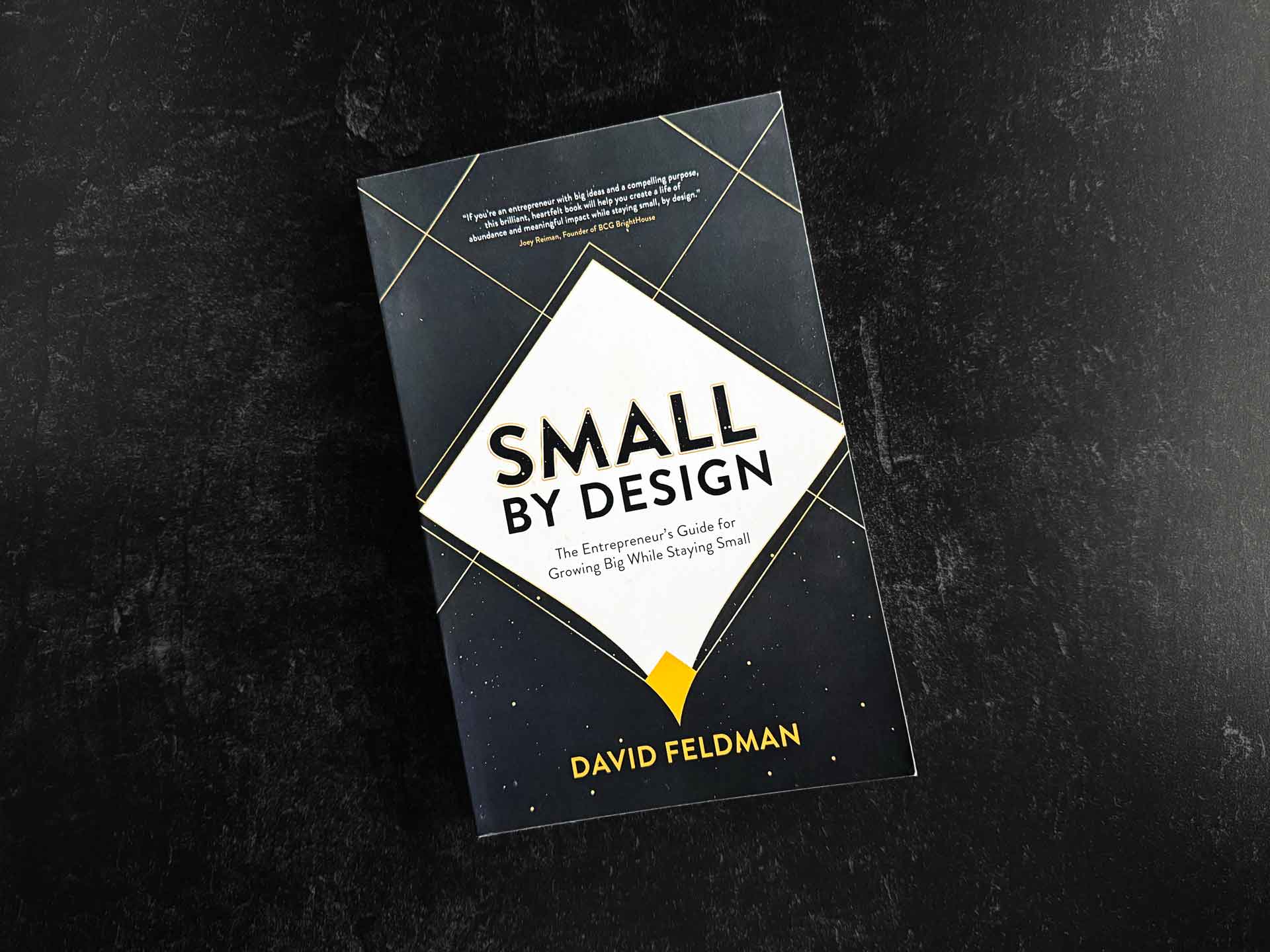 Book written by David Feldman, Small By Design